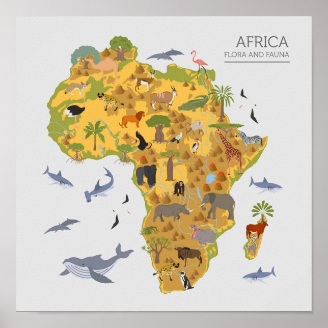 Póster Mapa da África | Flora e fauna (Frente)