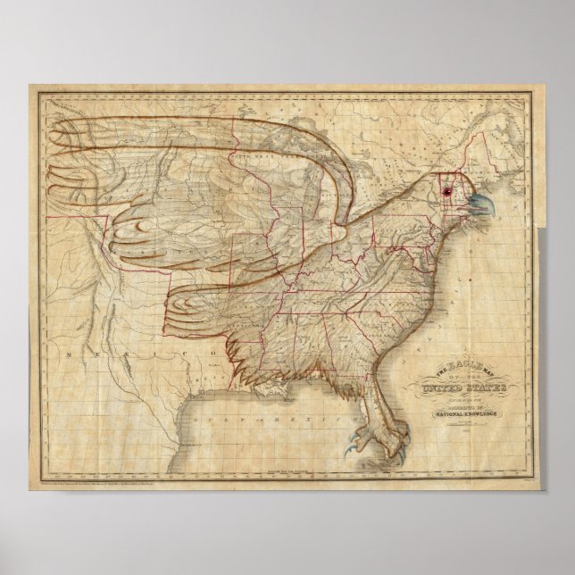 Poster Mapa da águia dos Estados Unidos (Frente)