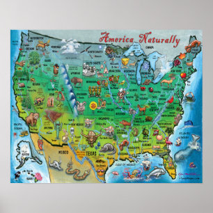 Poster Mapa da América Naturalmente Divertida