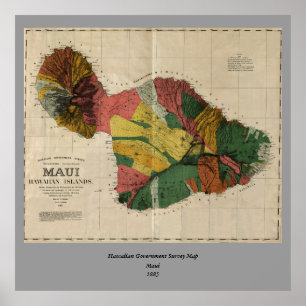 Poster Mapa da avaliação de Maui - Havaí do Antiquaria