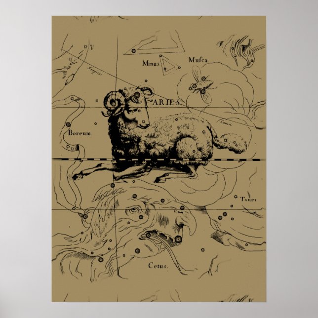 Poster Mapa da constelação de Vintage Aries Hevelius 1690 (Frente)