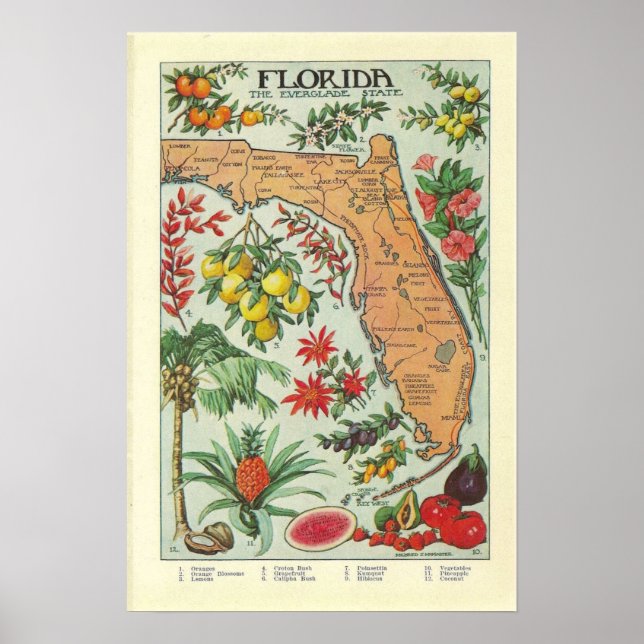 Poster Mapa da Flórida Vintage - Flora (Frente)