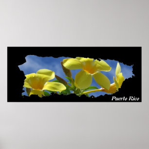 Poster Mapa da Ilha das Flores Amarelas de Porto Rico