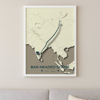 Poster Mapa da Migração de Ganhos com bar - Minimalista