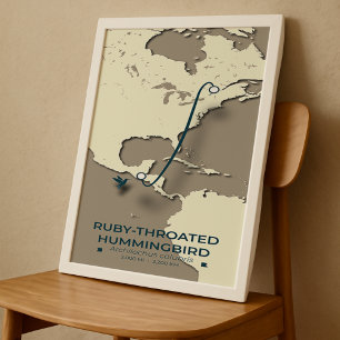 Poster Mapa da Migração de Hummingbird, com garganta rubi