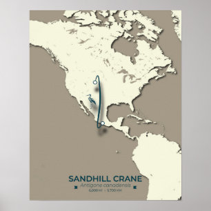 Poster Mapa da migração de Sandhill Crane - Vintage minim
