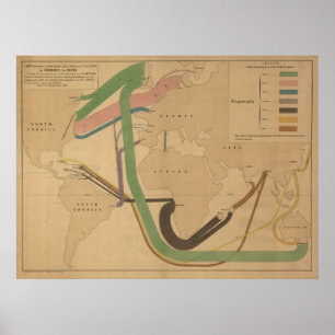 Póster Mapa da migração do mundo [traduzida]