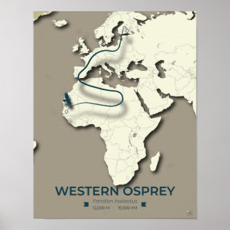 Poster Mapa da Migração do Osprey Ocidental - Vintage Min