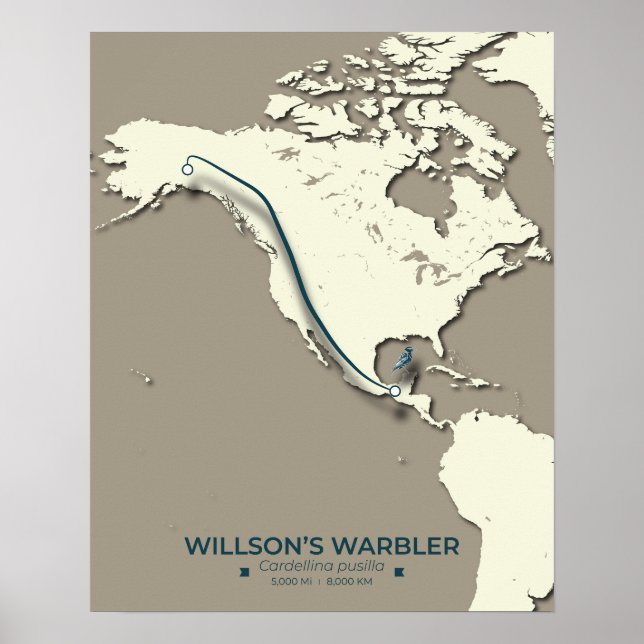 Poster Mapa da Migração do Warbler de Wilson - Minimalist (Frente)