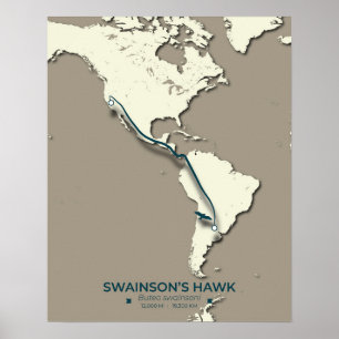 Poster Mapa da migração Hawk de Swainson - Vintage minima