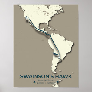 Poster Mapa da migração Hawk de Swainson - Vintage minima