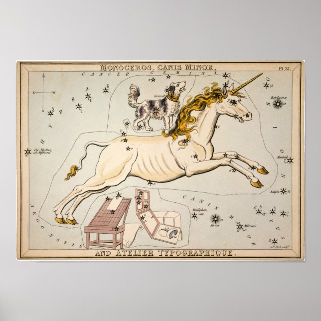 Póster Mapa da Vintagem Celestial (Frente)