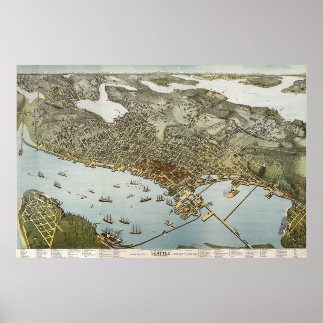 Póster Mapa das aves de Seattle - 1891 (Koch) BigMapBlog (Frente)
