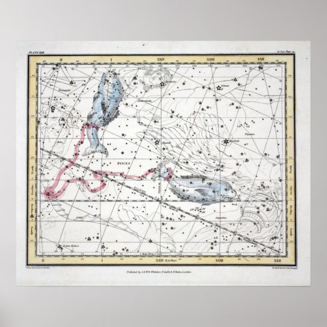 Póster Mapa das constelações Placa XXII (Frente)
