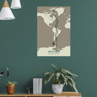 Poster Mapa das Migrações Tern do Árctico - Vintagem Mini