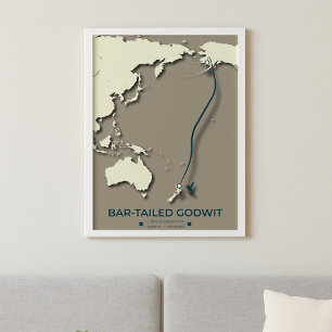 Poster Mapa das Migrações Tern do Árctico - Vintagem Mini