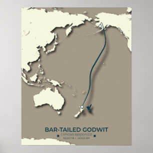 Poster Mapa das Migrações Tern do Árctico - Vintagem Mini