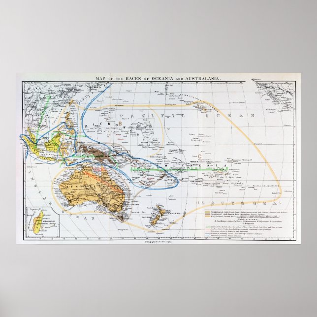 Póster Mapa das raças da Oceânia e da Australásia (Frente)