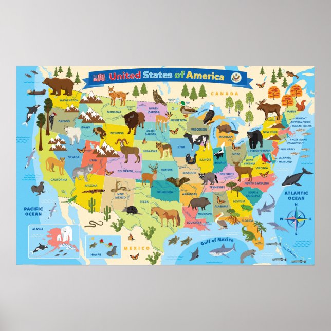 Poster Mapa de animais dos EUA para crianças (Frente)