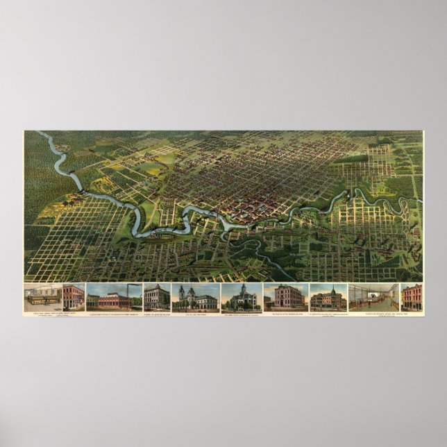 Póster Mapa de aves de Houston, Texas (1891) (Frente)