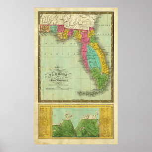 Poster Mapa de Florida