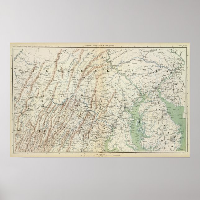 Poster Mapa de genes I (Frente)