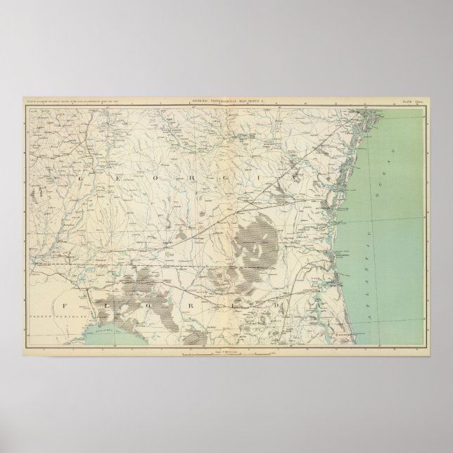 Póster Mapa de genes X (Frente)