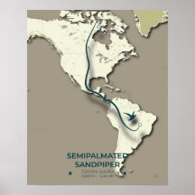 Mapa de migração de Sandpiper semipalmado - Minima