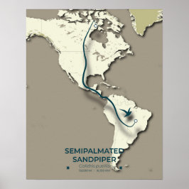 Poster Mapa de migração de Sandpiper semipalmado - Minima