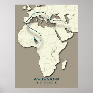 Poster Mapa de Migração de Storages Brancos - Vintage min