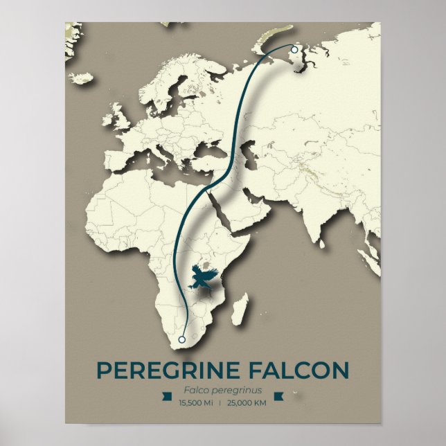 Poster Mapa de migração do Falcão Peregrino - Minimalista (Frente)