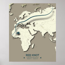 Mapa de Migração do Red Knot - Pássaro Vintage Min