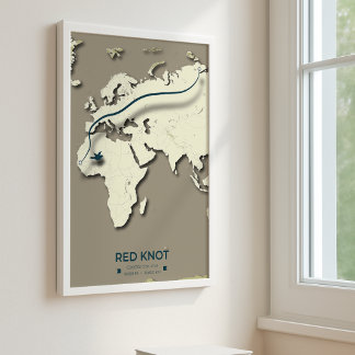 Poster Mapa de Migração do Red Knot - Pássaro Vintage Min