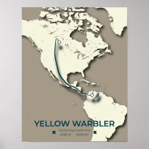 Poster Mapa de Migração do Warbler Amarelo - Vintagem Min