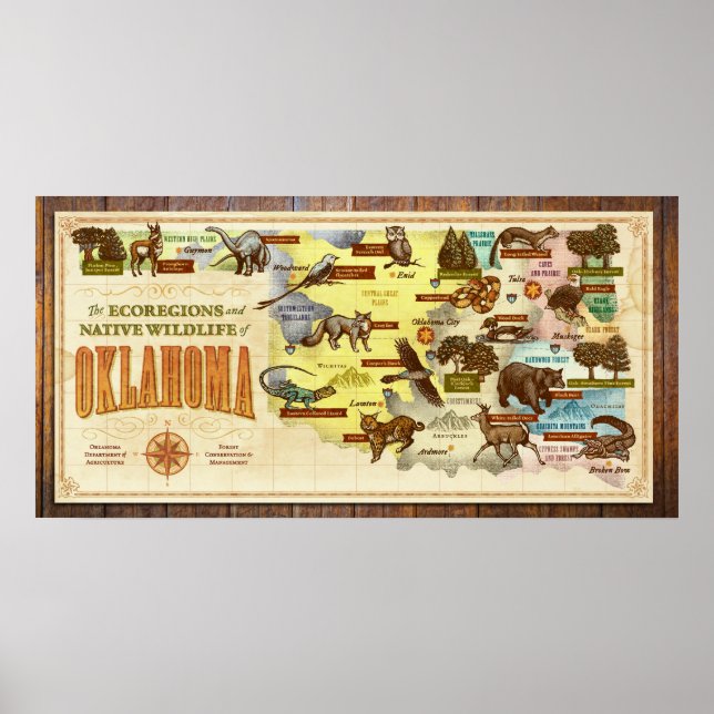 Poster Mapa de Oklahoma: Ecoregiões e Vida Selvagem Nativ (Frente)
