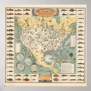 Poster Mapa de peixes dos EUA