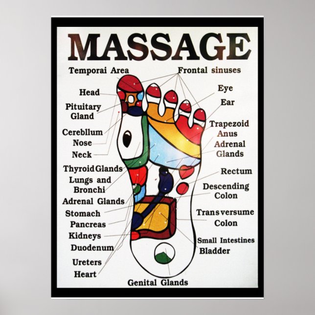 Poster Mapa de Reflexologia ~ Massagem Tailandesa nos Pés (Frente)