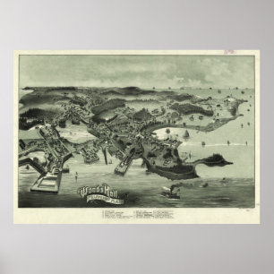 Poster Mapa de Vintage das MÃES de Falmouth Woods Hole (1