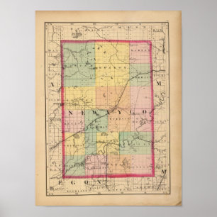 Póster Mapa do Condado de Newaygo, Michigan