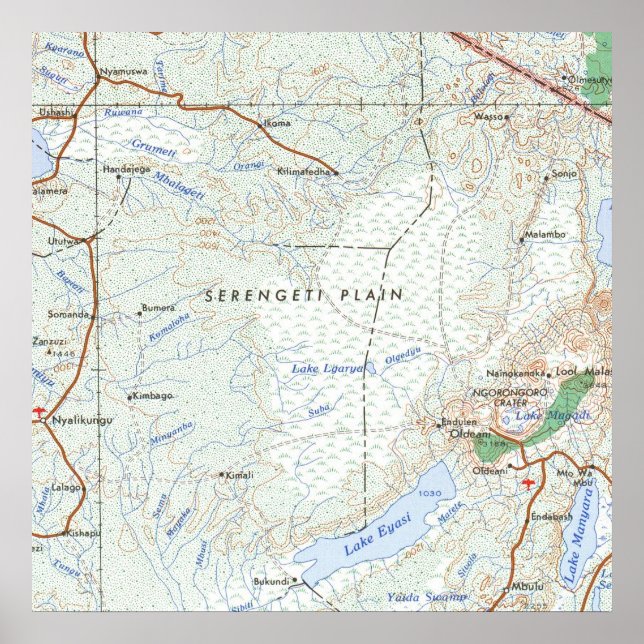 Poster Mapa do Serengeti Plain Vintage (Frente)