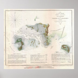Poster Mapa do vintage da chave Florida do cedro (1852)