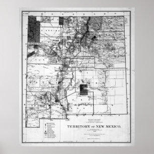 Póster Mapa do vintage de New mexico (1882) BW