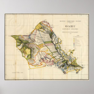 Poster Mapa do vintage de Oahu Havaí (1906)