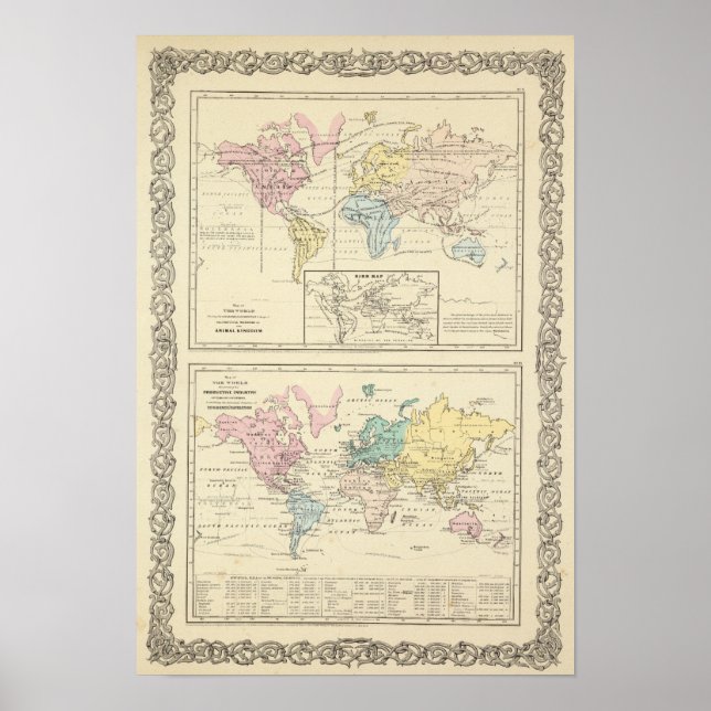 Póster Mapa em cor do Mundo (Frente)
