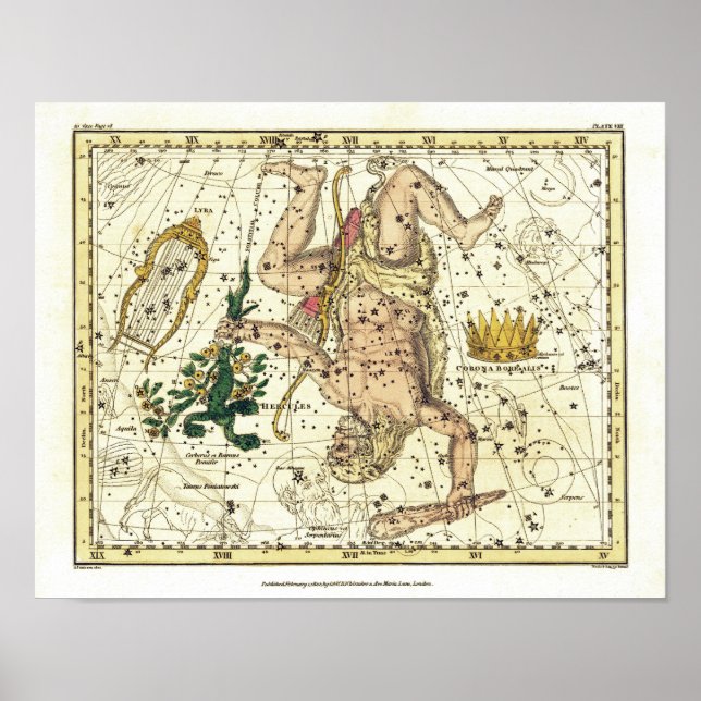 Poster Mapa Estelar Antigo da Constelação de Hércules (Frente)