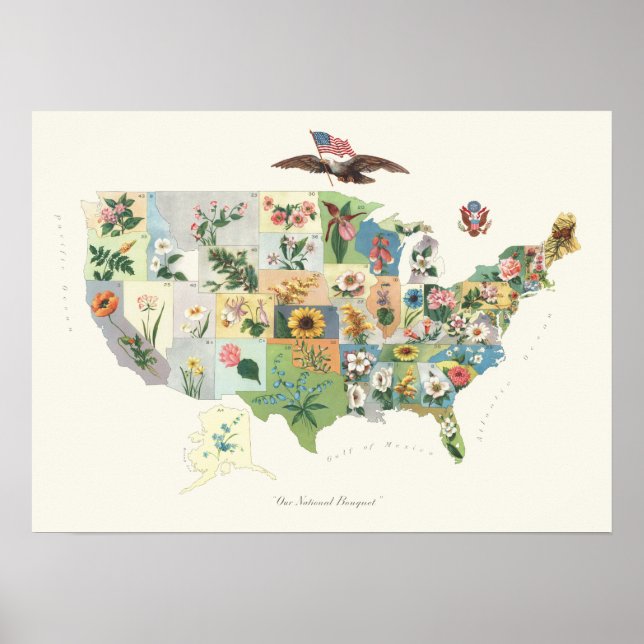 Poster Mapa Flor dos Estados Unidos - Nosso Buquê Naciona (Frente)