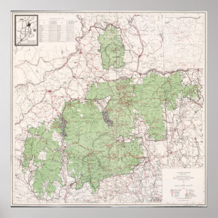 Poster Mapa Florestal Nacional das Montanhas Brancas Vint