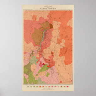 Póster Mapa Geological do distrito de Washoe