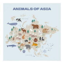 Mapa Ilustrado de Animais da Ásia
