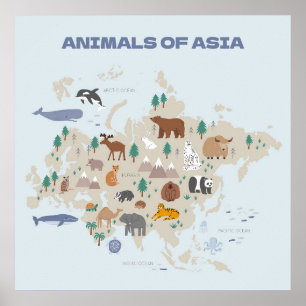 Poster Mapa Ilustrado de Animais da Ásia